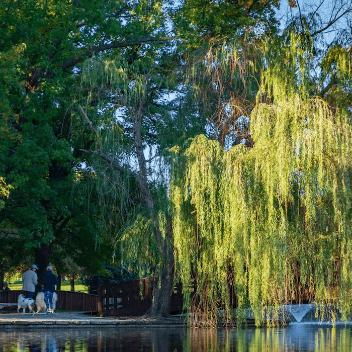 Loose Park in autumn, Kansas City